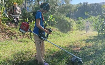 Activités du Peho ‘Uru et du Fare Aru de Juillet 2025