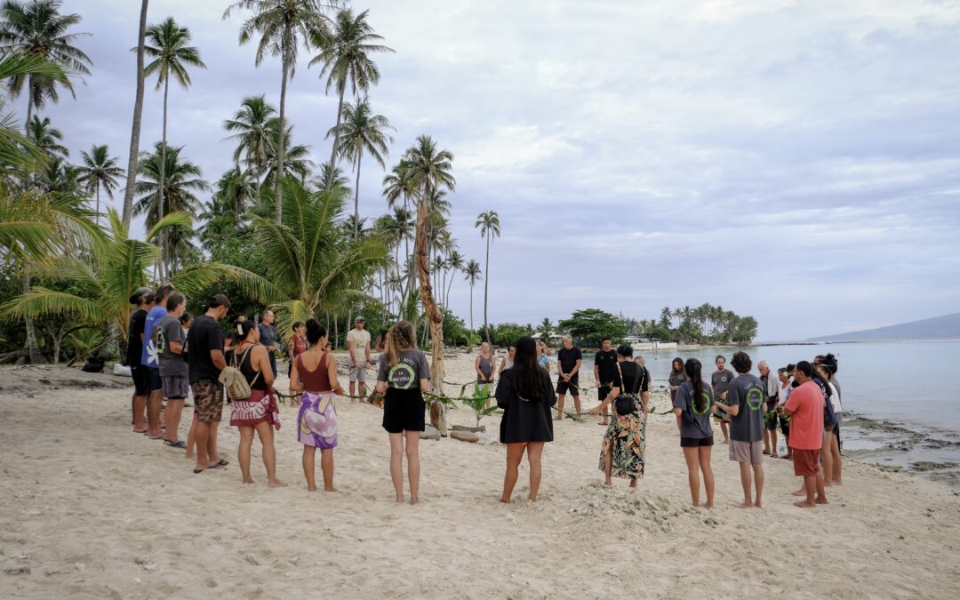 Avis sur la consultation populaire concernant la plage de Temae