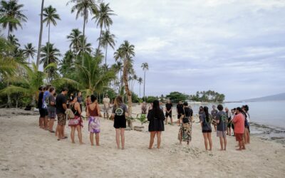 Avis sur la consultation populaire concernant la plage de Temae