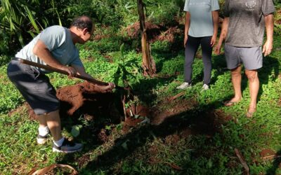 Te Ora Naho – FAPE renouvelle son soutien au projet Fare Aru à Mo&rsquo;orea